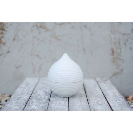 PROMED AL-305 – Diffuseur d’arômes ultrasonique, LED multicolore – Bien-être & relaxation – Garantie 2 ans